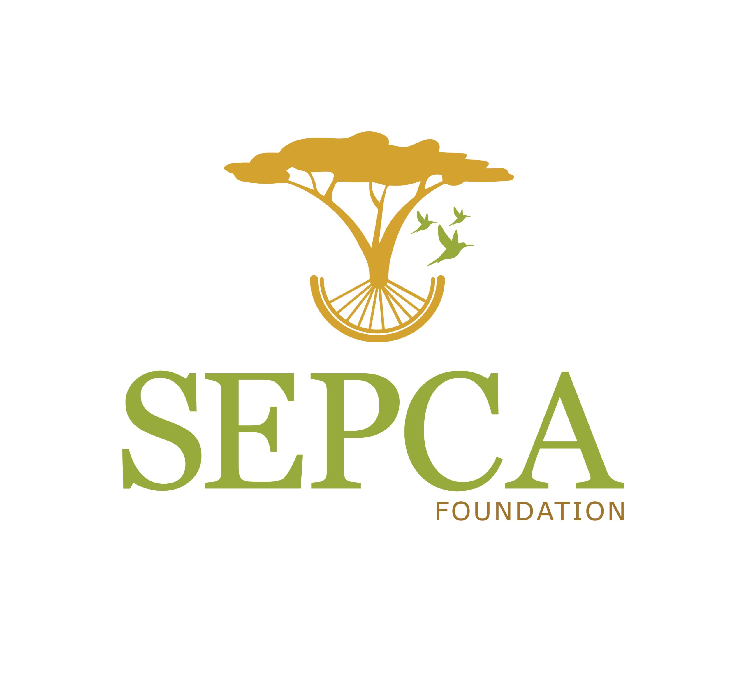 sepcafoundation.org